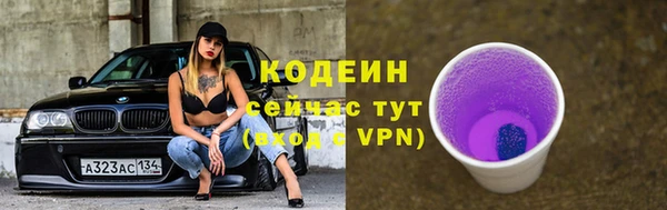 винт Лабытнанги