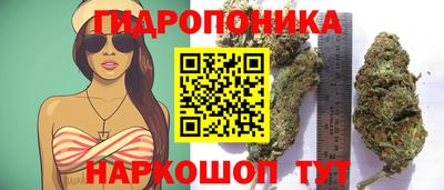 МДМА Заволжье