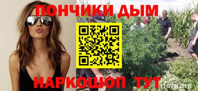 гидропоника Заводоуковск
