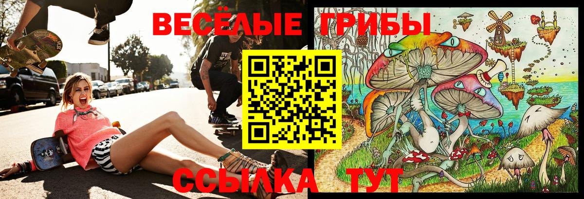Псилоцибиновые грибы Psilocybe Мариинск