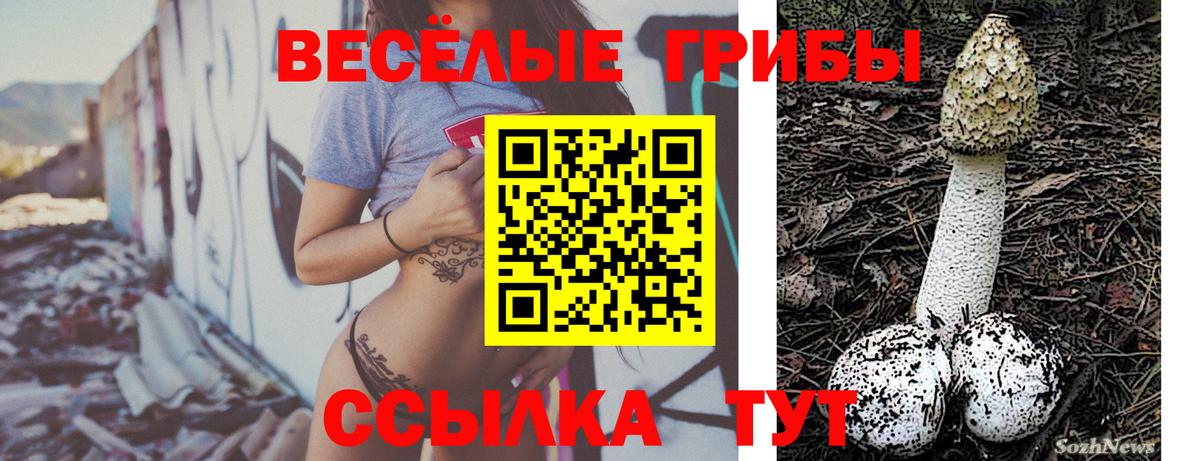 Псилоцибиновые грибы Cubensis Мариинск