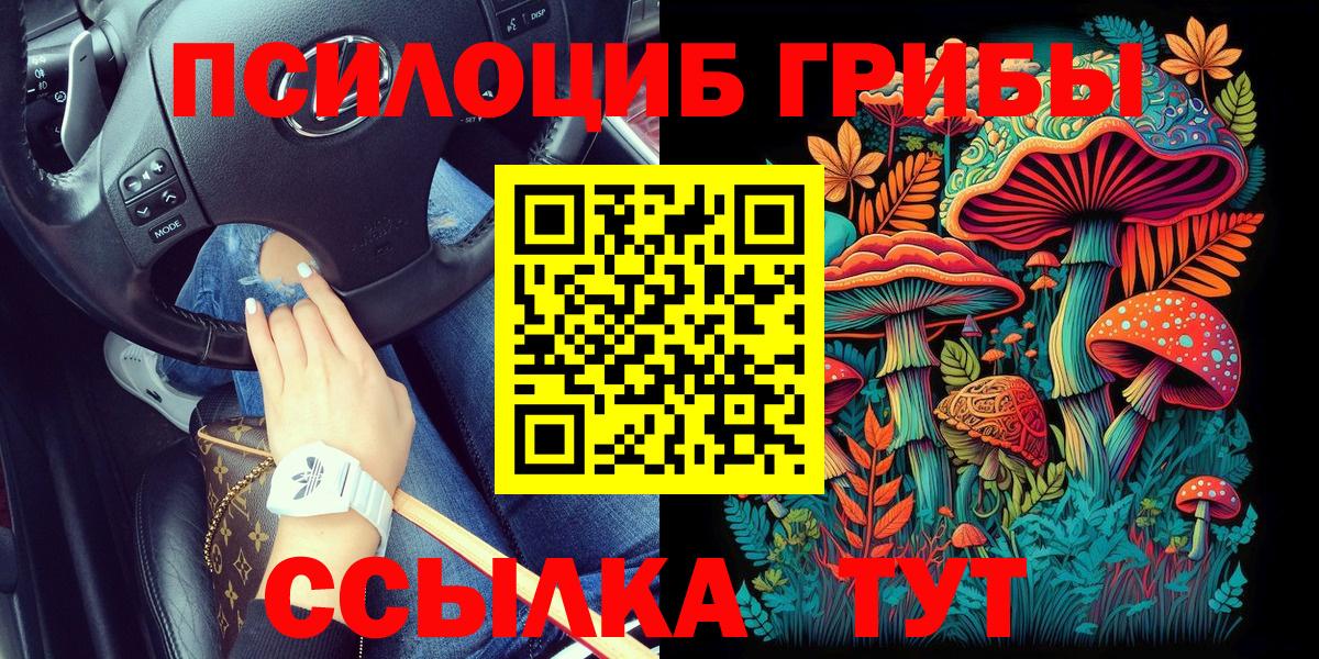 Мариинск  Псилоцибиновые грибы мицелий  наркотики  Вход с VPN 